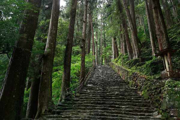 Stone path_hiking trail_JAPAN.png